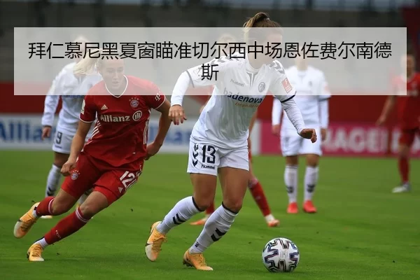 拜仁慕尼黑夏窗瞄准切尔西中场恩佐费尔南德斯